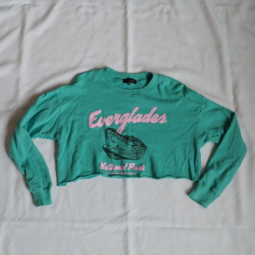 Pacsun cropped turquoise graphic sweatshirt